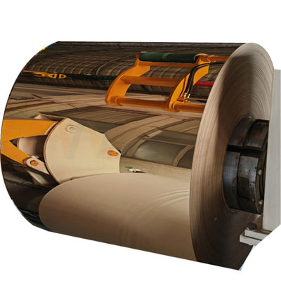 Cold-rolled ανοξείδωτο σπείρες καθρεφτών ASTM 201 304 316 με PVD αυξήθηκαν χρυσό επίστρωμα